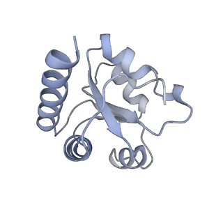 34861_8hkv_L7A1_v1-0
Cryo-EM Structures and Translocation Mechanism of Crenarchaeota Ribosome