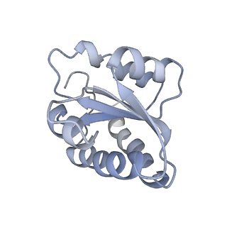 34861_8hkv_L7A2_v1-0
Cryo-EM Structures and Translocation Mechanism of Crenarchaeota Ribosome