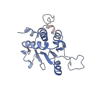 34862_8hkx_AS2P_v1-0
Cryo-EM Structures and Translocation Mechanism of Crenarchaeota Ribosome