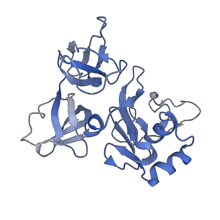 34862_8hkx_AS4E_v1-0
Cryo-EM Structures and Translocation Mechanism of Crenarchaeota Ribosome