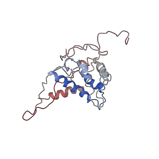 34862_8hkx_AS7P_v1-0
Cryo-EM Structures and Translocation Mechanism of Crenarchaeota Ribosome