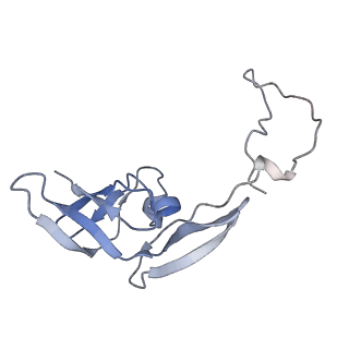 34862_8hkx_AS8E_v1-0
Cryo-EM Structures and Translocation Mechanism of Crenarchaeota Ribosome