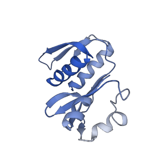 34862_8hkx_AS8P_v1-0
Cryo-EM Structures and Translocation Mechanism of Crenarchaeota Ribosome