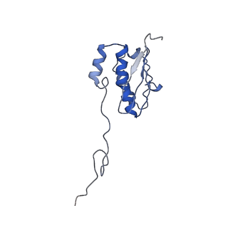 34862_8hkx_AS9P_v1-0
Cryo-EM Structures and Translocation Mechanism of Crenarchaeota Ribosome