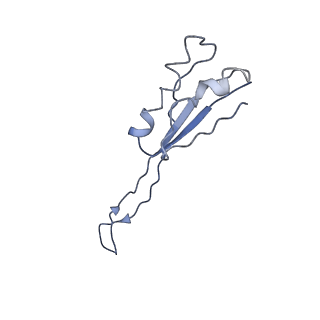 34862_8hkx_S10P_v1-0
Cryo-EM Structures and Translocation Mechanism of Crenarchaeota Ribosome