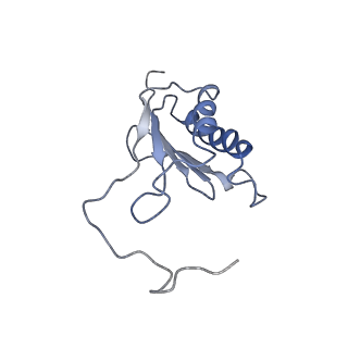 34862_8hkx_S11P_v1-0
Cryo-EM Structures and Translocation Mechanism of Crenarchaeota Ribosome