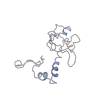 34862_8hkx_S13P_v1-0
Cryo-EM Structures and Translocation Mechanism of Crenarchaeota Ribosome