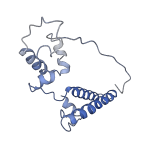34862_8hkx_S15P_v1-0
Cryo-EM Structures and Translocation Mechanism of Crenarchaeota Ribosome