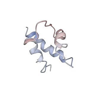 34862_8hkx_S17E_v1-0
Cryo-EM Structures and Translocation Mechanism of Crenarchaeota Ribosome