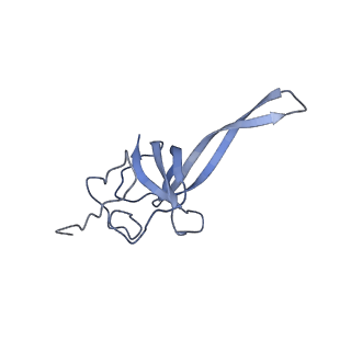 34862_8hkx_S17P_v1-0
Cryo-EM Structures and Translocation Mechanism of Crenarchaeota Ribosome