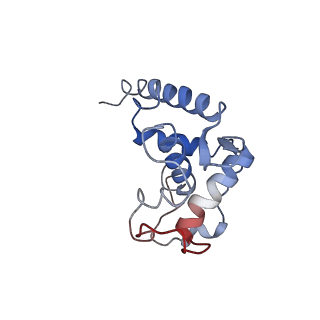 34862_8hkx_S19E_v1-0
Cryo-EM Structures and Translocation Mechanism of Crenarchaeota Ribosome
