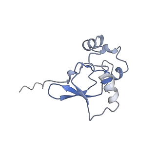 34862_8hkx_S19P_v1-0
Cryo-EM Structures and Translocation Mechanism of Crenarchaeota Ribosome