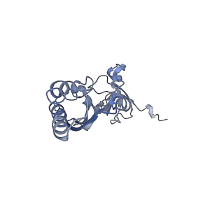 34862_8hkx_S3AE_v1-0
Cryo-EM Structures and Translocation Mechanism of Crenarchaeota Ribosome