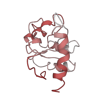 34862_8hkx_SL7A_v1-0
Cryo-EM Structures and Translocation Mechanism of Crenarchaeota Ribosome