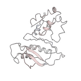 34863_8hky_AL1P_v1-0
Cryo-EM Structures and Translocation Mechanism of Crenarchaeota Ribosome