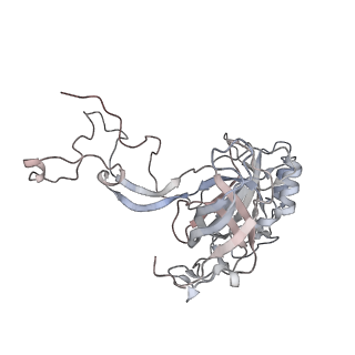 34863_8hky_AL3P_v1-0
Cryo-EM Structures and Translocation Mechanism of Crenarchaeota Ribosome