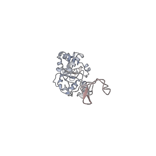 34863_8hky_AL4P_v1-0
Cryo-EM Structures and Translocation Mechanism of Crenarchaeota Ribosome