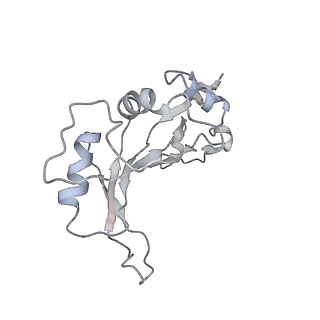 34863_8hky_AL5P_v1-0
Cryo-EM Structures and Translocation Mechanism of Crenarchaeota Ribosome