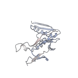 34863_8hky_AL6P_v1-0
Cryo-EM Structures and Translocation Mechanism of Crenarchaeota Ribosome