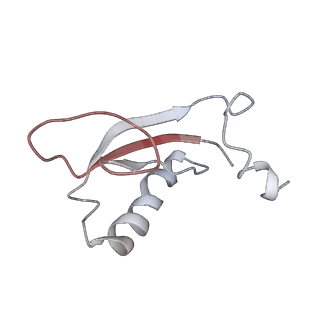 34863_8hky_ALX0_v1-0
Cryo-EM Structures and Translocation Mechanism of Crenarchaeota Ribosome