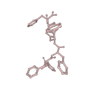 34863_8hky_APTP_v1-0
Cryo-EM Structures and Translocation Mechanism of Crenarchaeota Ribosome