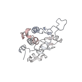 34863_8hky_AS2P_v1-0
Cryo-EM Structures and Translocation Mechanism of Crenarchaeota Ribosome