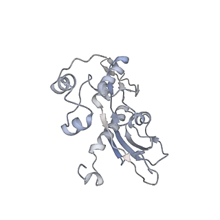 34863_8hky_AS5P_v1-0
Cryo-EM Structures and Translocation Mechanism of Crenarchaeota Ribosome