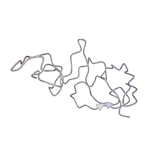 34863_8hky_AS6E_v1-0
Cryo-EM Structures and Translocation Mechanism of Crenarchaeota Ribosome