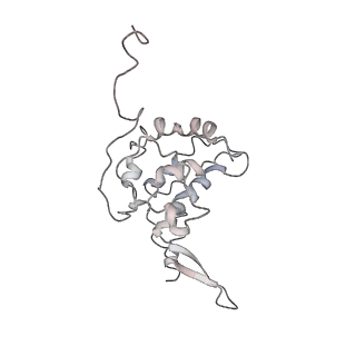 34863_8hky_AS7P_v1-0
Cryo-EM Structures and Translocation Mechanism of Crenarchaeota Ribosome