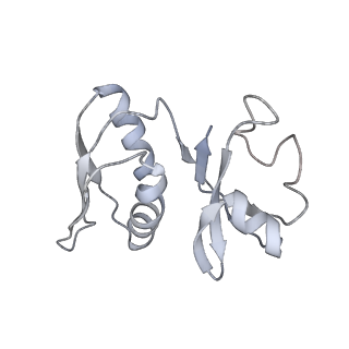 34863_8hky_AS8P_v1-0
Cryo-EM Structures and Translocation Mechanism of Crenarchaeota Ribosome