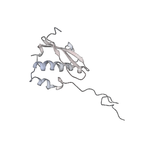 34863_8hky_AS9P_v1-0
Cryo-EM Structures and Translocation Mechanism of Crenarchaeota Ribosome