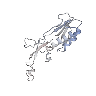 34863_8hky_L10E_v1-0
Cryo-EM Structures and Translocation Mechanism of Crenarchaeota Ribosome