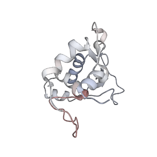 34863_8hky_L13P_v1-0
Cryo-EM Structures and Translocation Mechanism of Crenarchaeota Ribosome