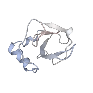 34863_8hky_L141_v1-0
Cryo-EM Structures and Translocation Mechanism of Crenarchaeota Ribosome