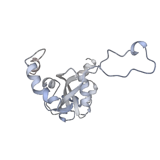 34863_8hky_L15E_v1-0
Cryo-EM Structures and Translocation Mechanism of Crenarchaeota Ribosome