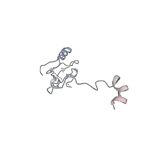 34863_8hky_L15P_v1-0
Cryo-EM Structures and Translocation Mechanism of Crenarchaeota Ribosome