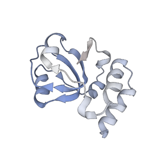 34863_8hky_L18E_v1-0
Cryo-EM Structures and Translocation Mechanism of Crenarchaeota Ribosome