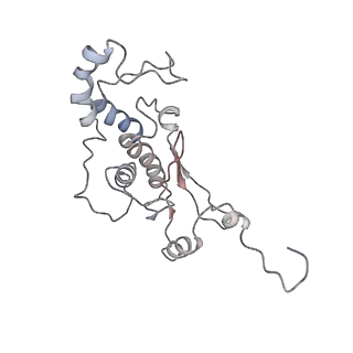 34863_8hky_L18P_v1-0
Cryo-EM Structures and Translocation Mechanism of Crenarchaeota Ribosome