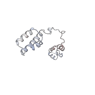 34863_8hky_L19E_v1-0
Cryo-EM Structures and Translocation Mechanism of Crenarchaeota Ribosome