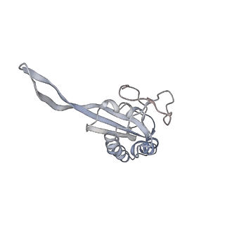 34863_8hky_L22P_v1-0
Cryo-EM Structures and Translocation Mechanism of Crenarchaeota Ribosome