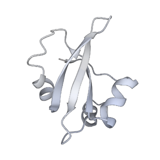 34863_8hky_L23P_v1-0
Cryo-EM Structures and Translocation Mechanism of Crenarchaeota Ribosome