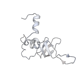 34863_8hky_L24P_v1-0
Cryo-EM Structures and Translocation Mechanism of Crenarchaeota Ribosome
