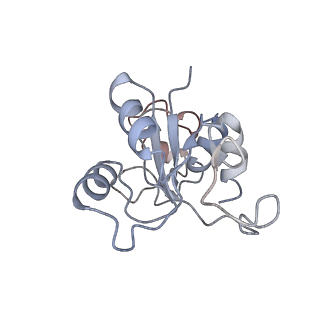 34863_8hky_L30P_v1-0
Cryo-EM Structures and Translocation Mechanism of Crenarchaeota Ribosome