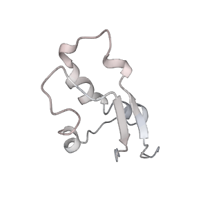 34863_8hky_L31E_v1-0
Cryo-EM Structures and Translocation Mechanism of Crenarchaeota Ribosome