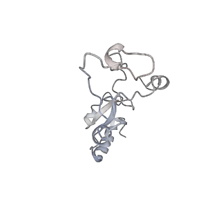 34863_8hky_L32E_v1-0
Cryo-EM Structures and Translocation Mechanism of Crenarchaeota Ribosome