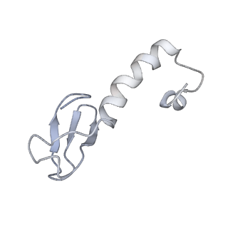 34863_8hky_L37A_v1-0
Cryo-EM Structures and Translocation Mechanism of Crenarchaeota Ribosome