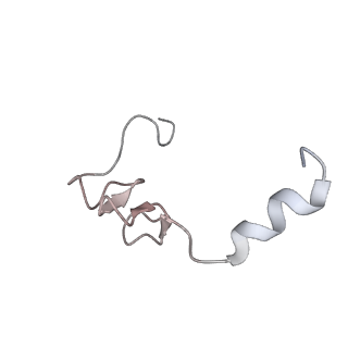 34863_8hky_L37E_v1-0
Cryo-EM Structures and Translocation Mechanism of Crenarchaeota Ribosome