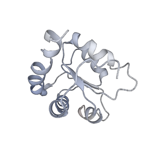 34863_8hky_L7A1_v1-0
Cryo-EM Structures and Translocation Mechanism of Crenarchaeota Ribosome