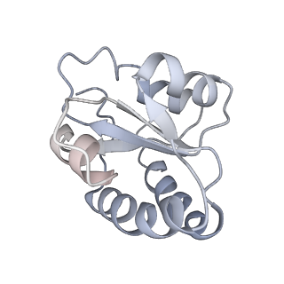 34863_8hky_L7A2_v1-0
Cryo-EM Structures and Translocation Mechanism of Crenarchaeota Ribosome