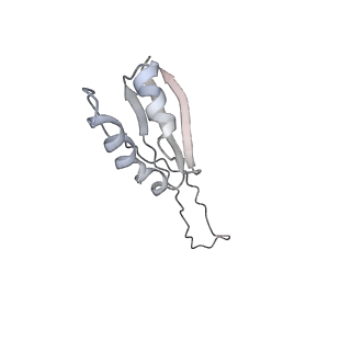 34863_8hky_S10P_v1-0
Cryo-EM Structures and Translocation Mechanism of Crenarchaeota Ribosome